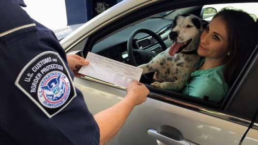 CBP officer examination