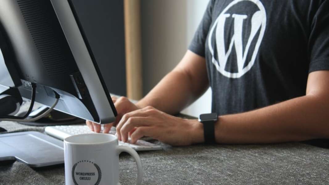 wordpress developer