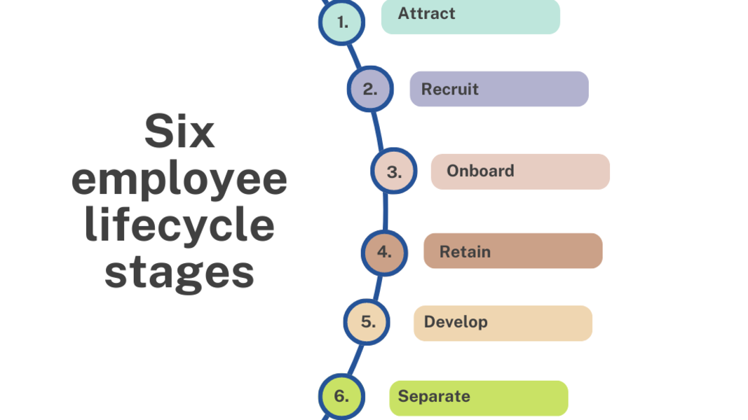 employee life cycle stages diagram