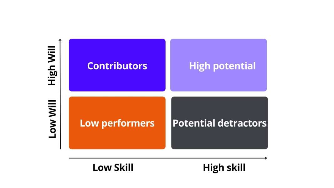 mckinsey skill will matrix