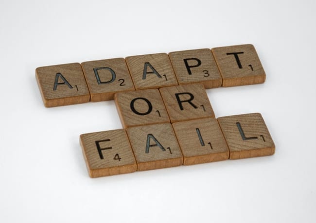 adaptability skill test