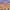 Lagdelte fjellformasjoner i Grand Canyon