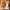 gluten-free-restaurants_gluten-free-restaurants-near-me_gluten-free-snacks_pasta_gluten-free-bagel