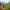 austria_alps_summer_hiking_alps_ski-resort_near-me_daniel-diemer-unsplash