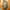 sweden_gothenburg_restaurant_bars_hotel_street-food_seafood_food-truck_Bhoga_Gurras_near-me