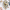 norway_oslo_hotel-continental_hotels_restaurants_bar_seafood_nightlife_near-me