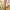 norway_oslo_hotels_restaurants_best-breakfast_near-me