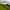 The hill country: Green tea hills in Sri Lanka’s highlands