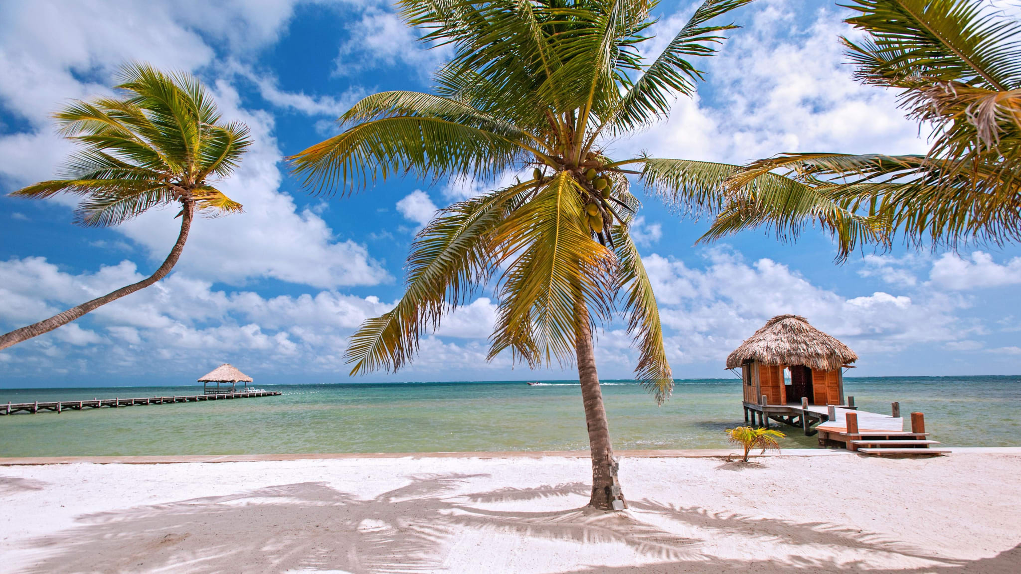 Strand med palmer og hvite parasoller ved Victoria House på Ambergris Caye i Belize