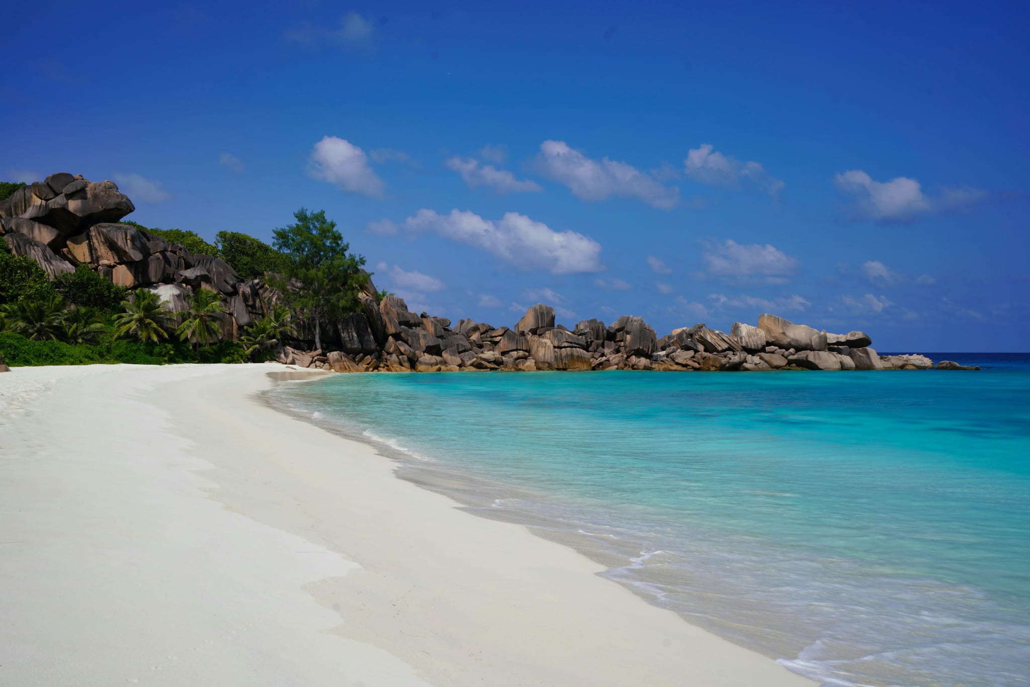 White sandy beach with green trees in the Seychelles