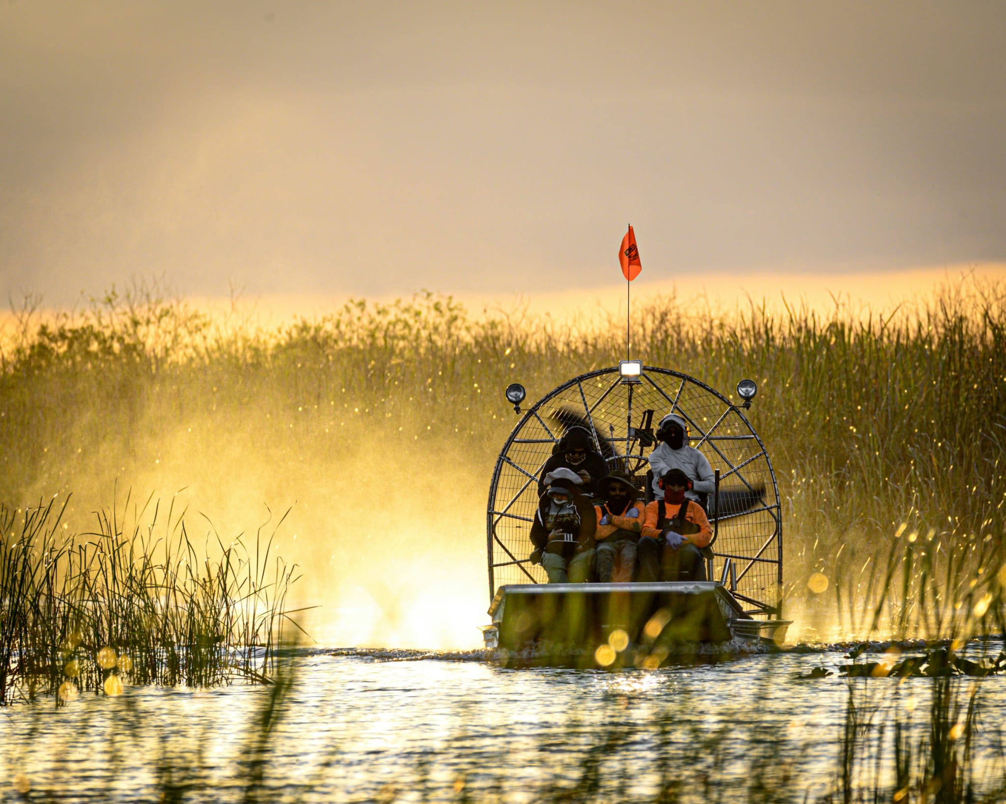 Sumpbåt i Everglades i solnedgang