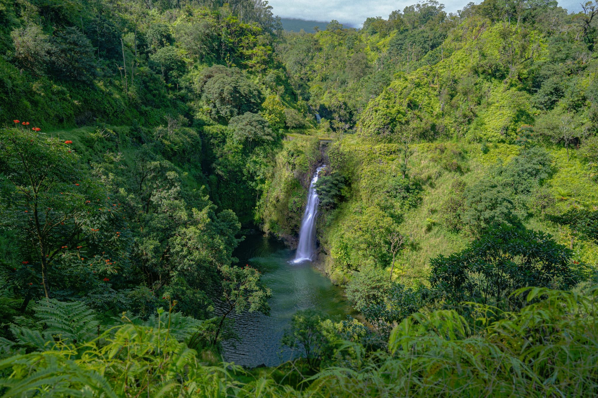 A waterfall in green rainforest on Maui
