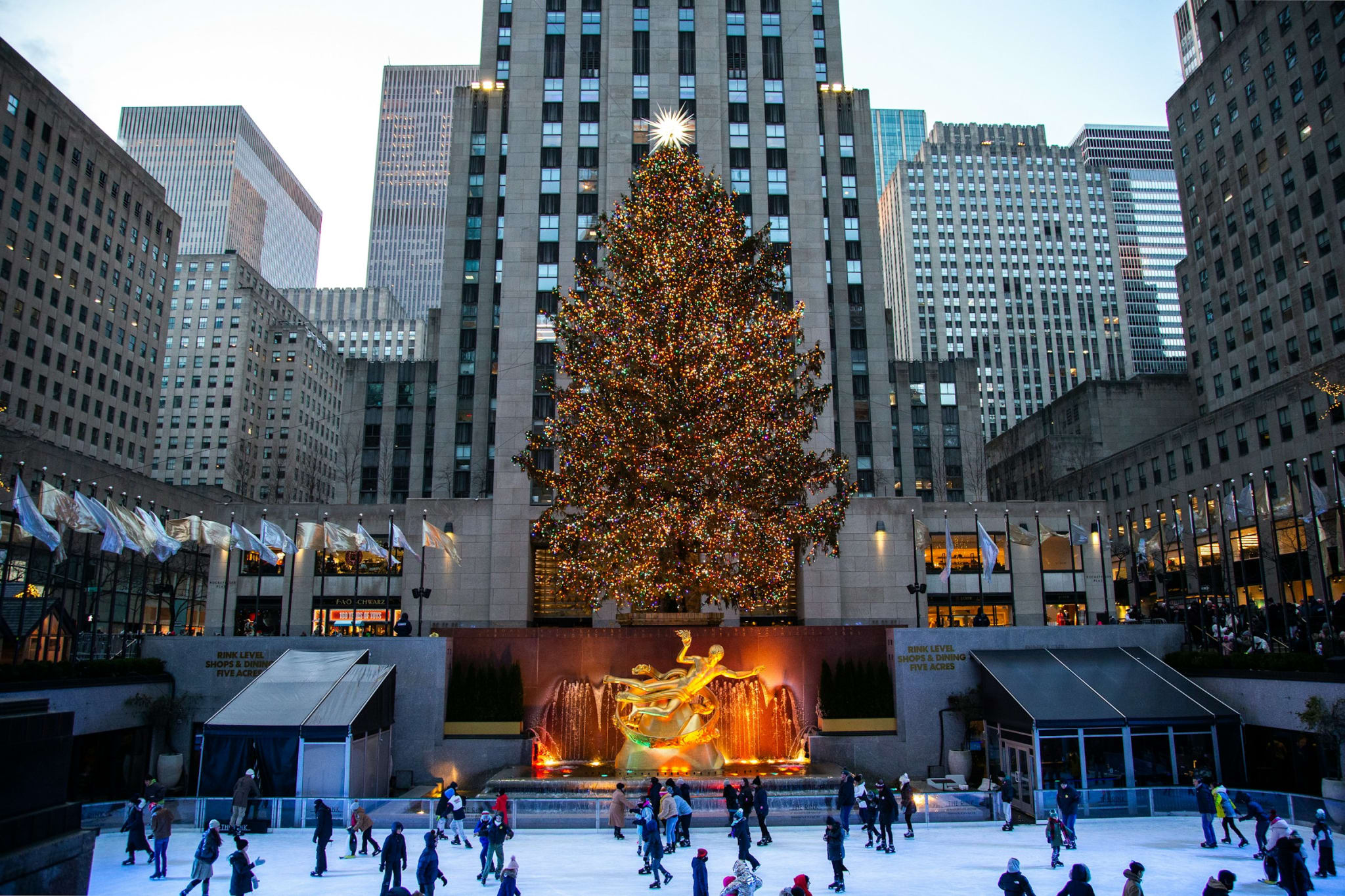 Juletreet ved Rockefeller Center i New York