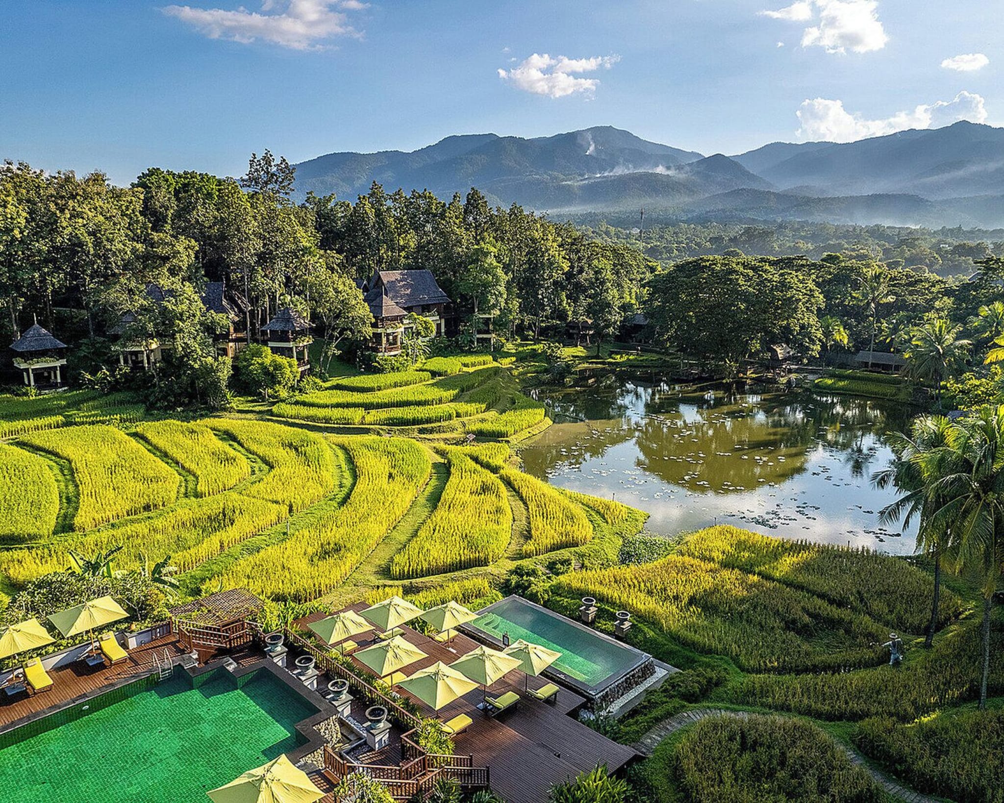 Risterrasser og fjell ved Four Seasons Resort Chiang Mai