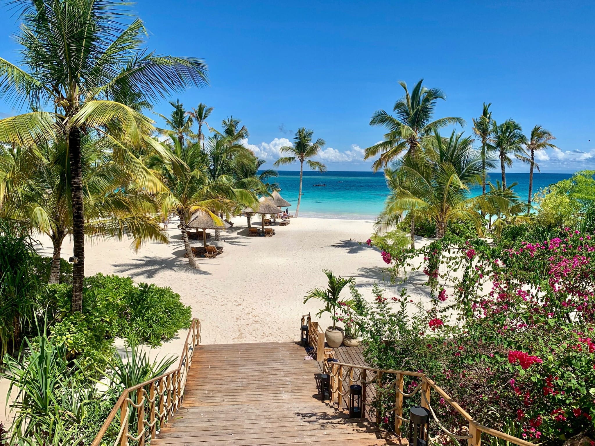 White sand and palm trees at Zuri Zanzibar