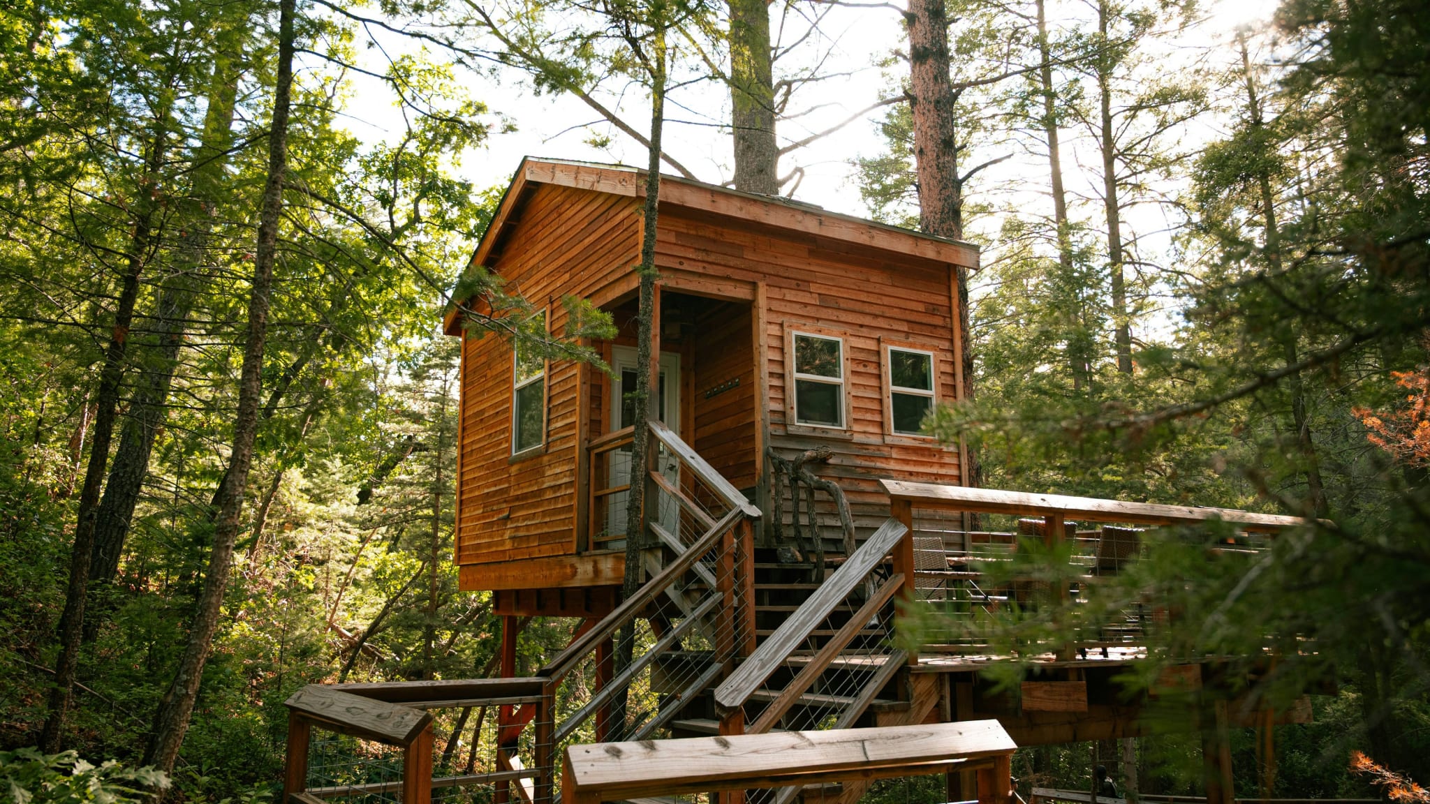 A rustic treehouse with steps up among tall trees in a forest