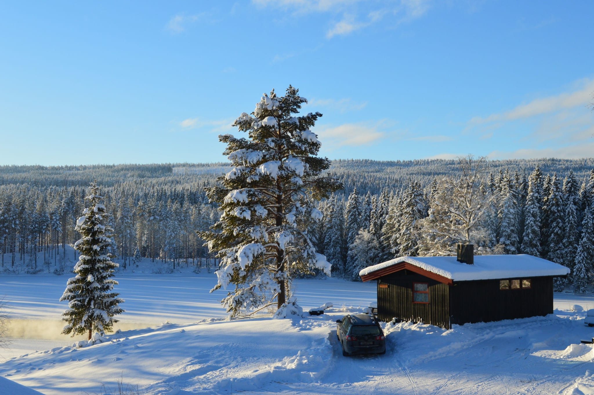En hytte på Trysil Hyttegrend i snødekt vinterlandskap med furutrær og blå himmel
