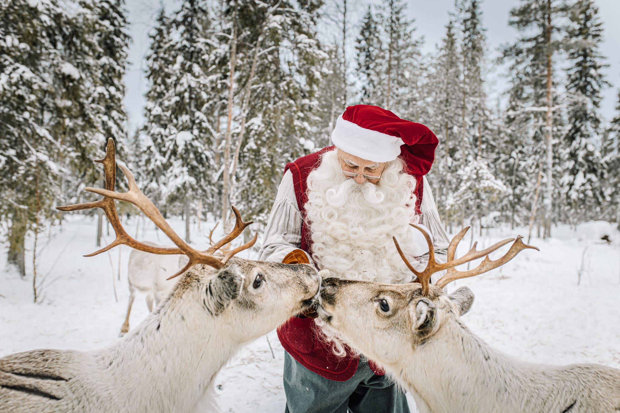 Santa Claus in the snow in Finnish Lapland