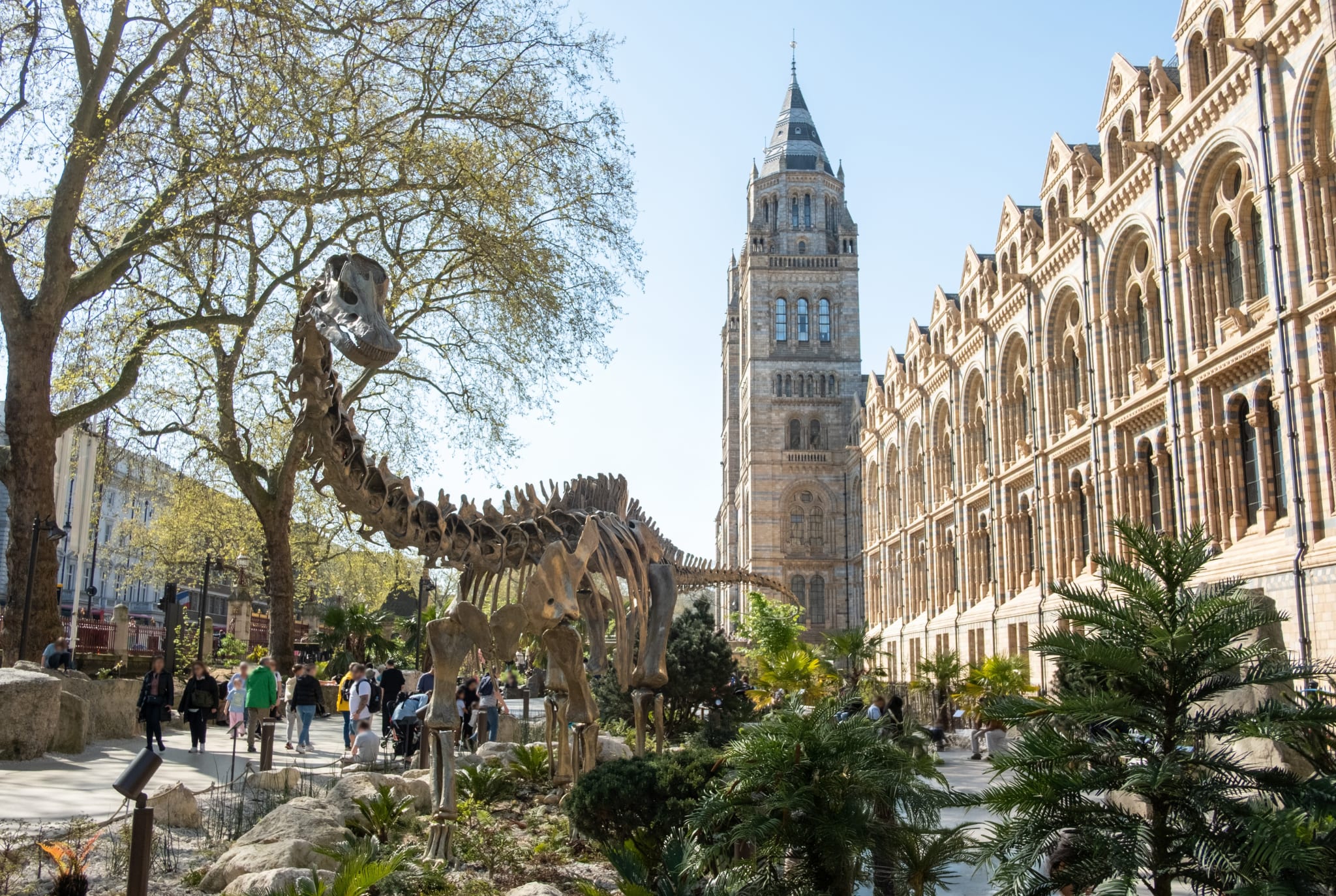 The Natural History Museum in South Kensington, a free museum for the whole family in London