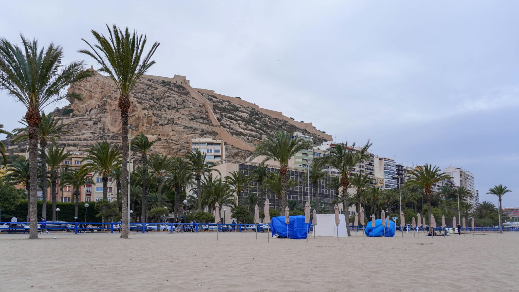 Palm trees and sand below the Benacantil hill in Alicante
