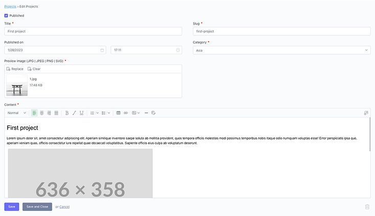 Backend form in October CMS for editing the details of an individual portfolio project.