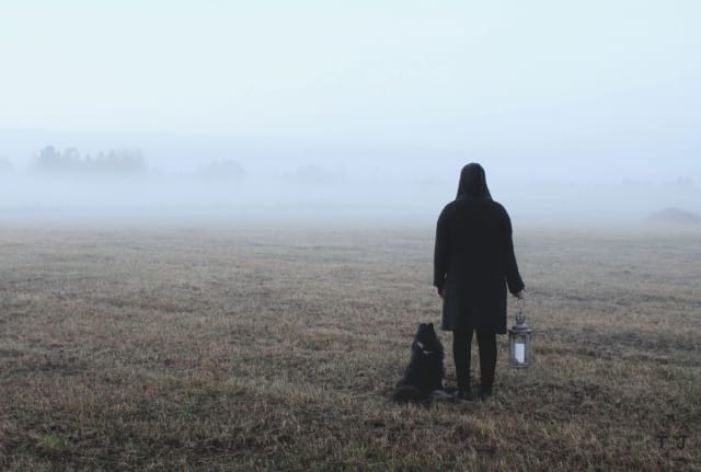 Foto av Therese Johansson