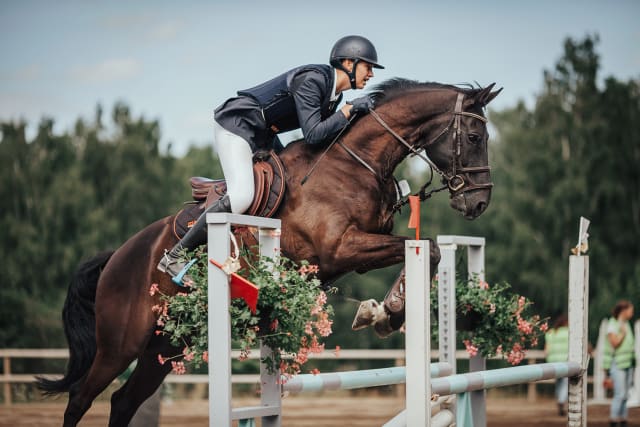 Foto av Maria Karlsson