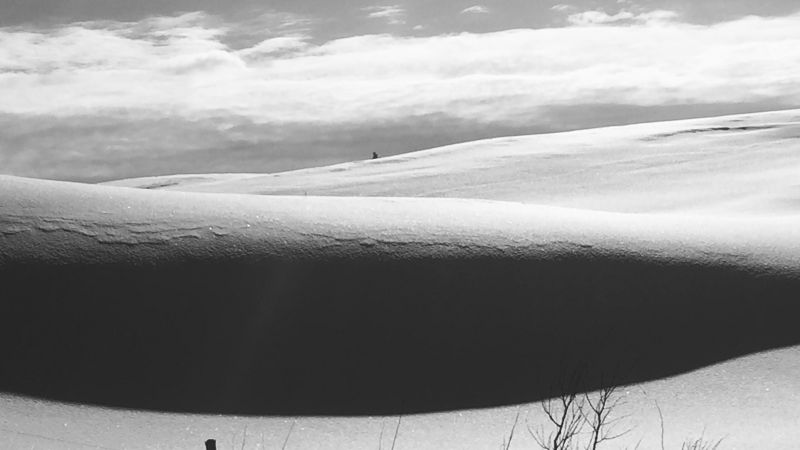 February snow shadows B&W