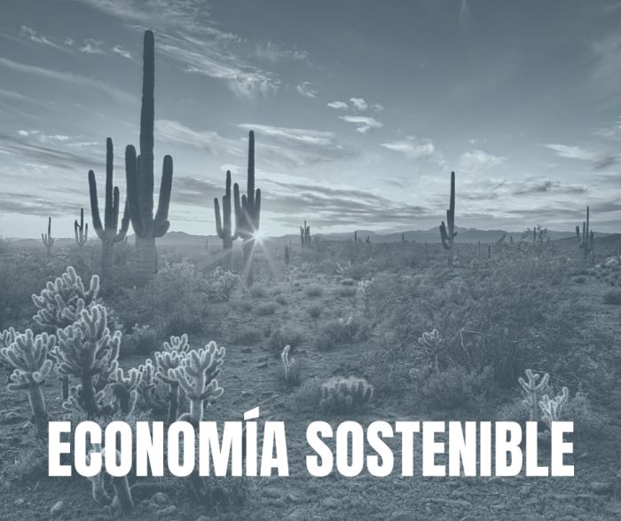 Suzanne Hug economia sostenible