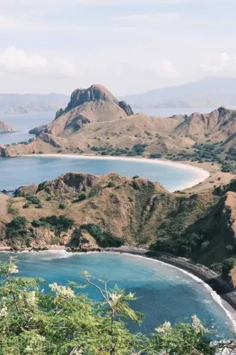 Daily Komodo Open Trip