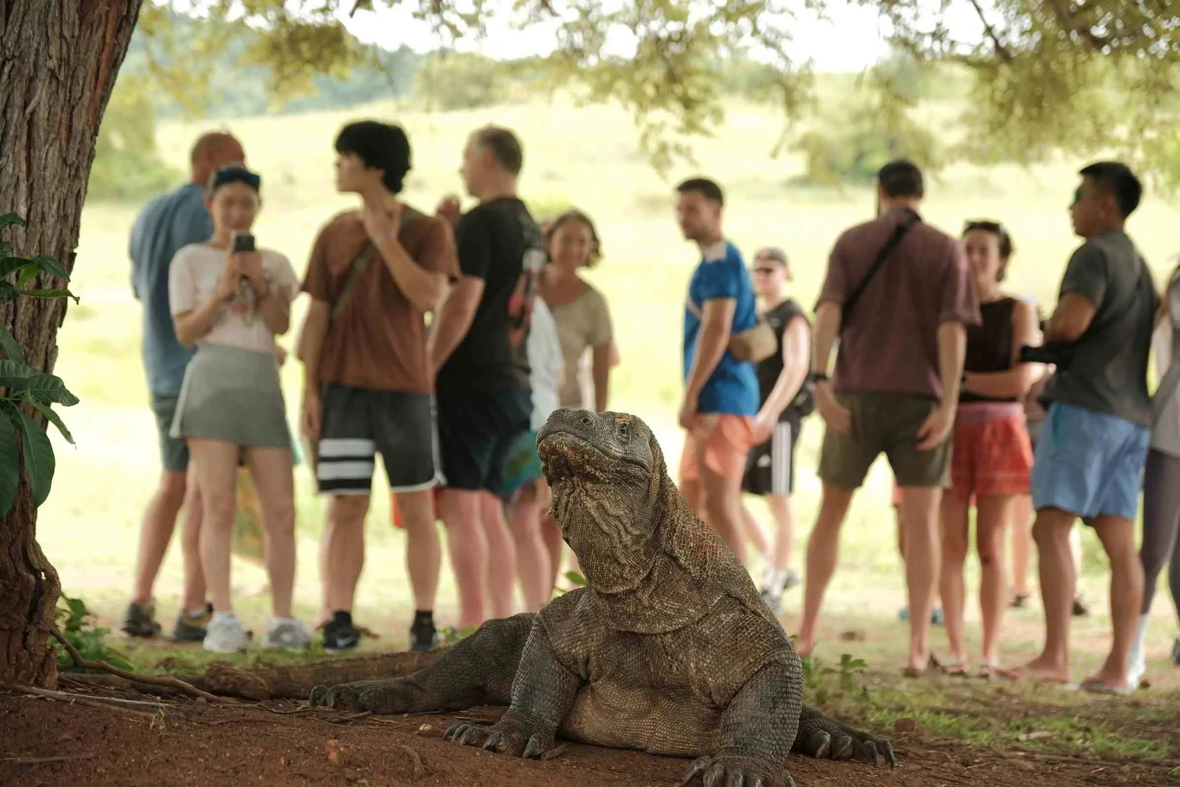 Panoramic view of Padar Island Komodo National Park