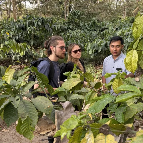 Malang Day Tour: Mount Kelud Volcano & Coffee Plantation