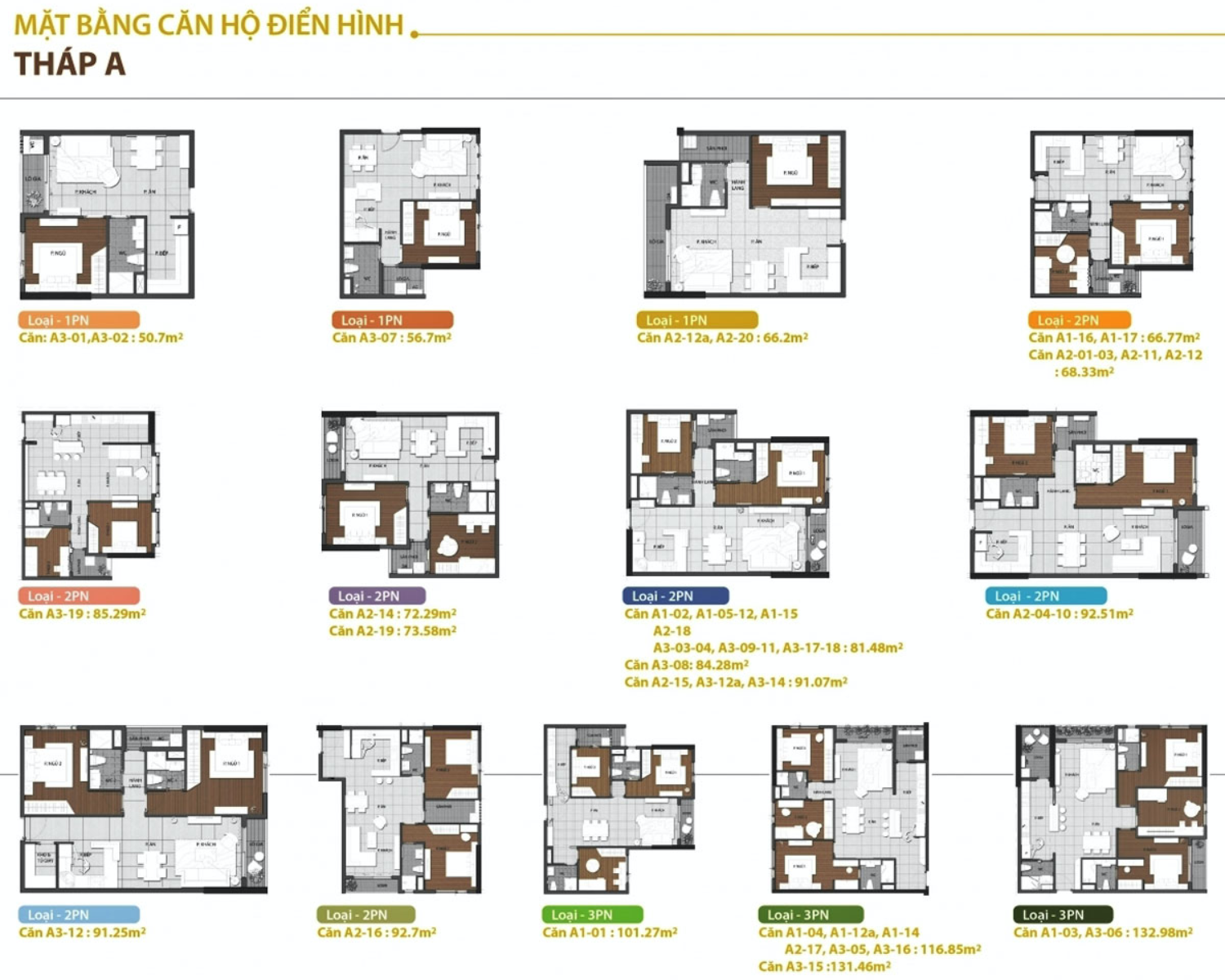 Mặt bằng chi tiết các căn hộ Gold View