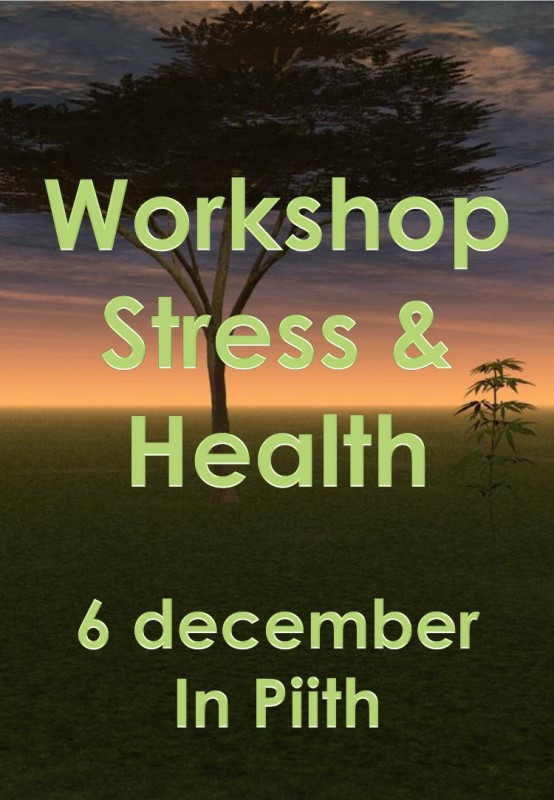 Workshop Stress & Health