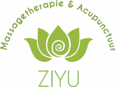 Logo ZIYU