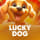 winner image