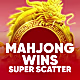 winner image