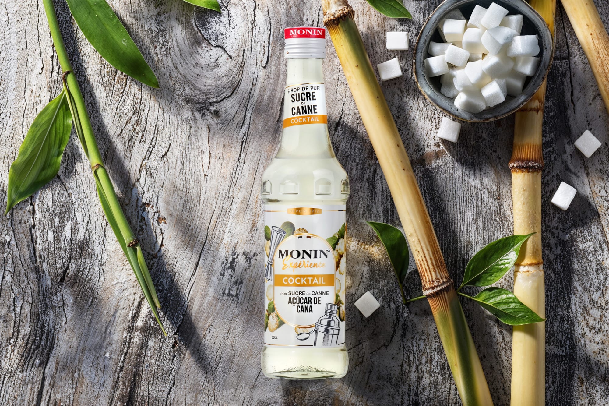 Monin cane sugar syrup bottle with sugar cane stalks and sugar cubes on grey wood