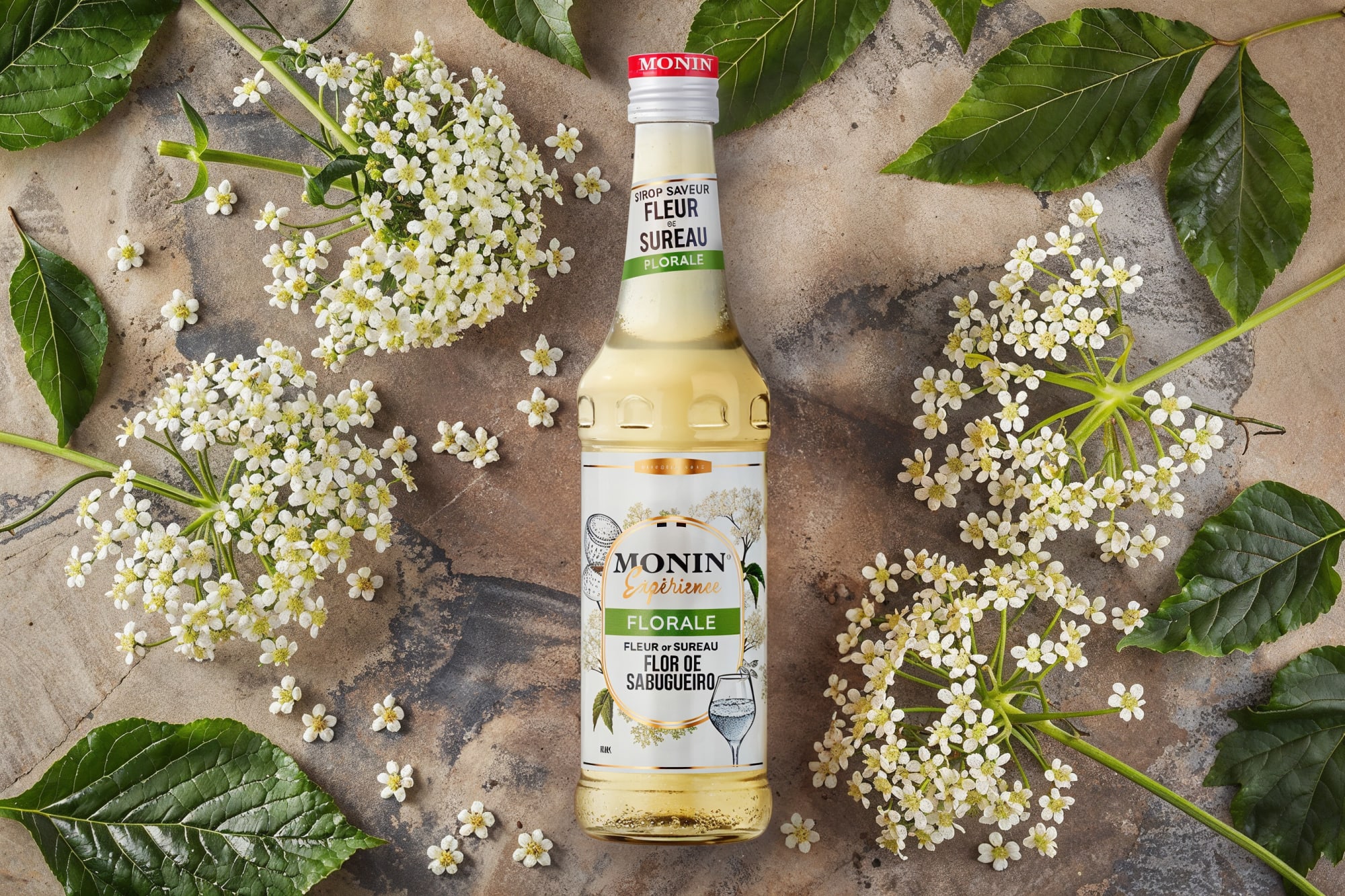 Monin elderflower syrup bottle with elderflower sprigs and leaves on weathered wood