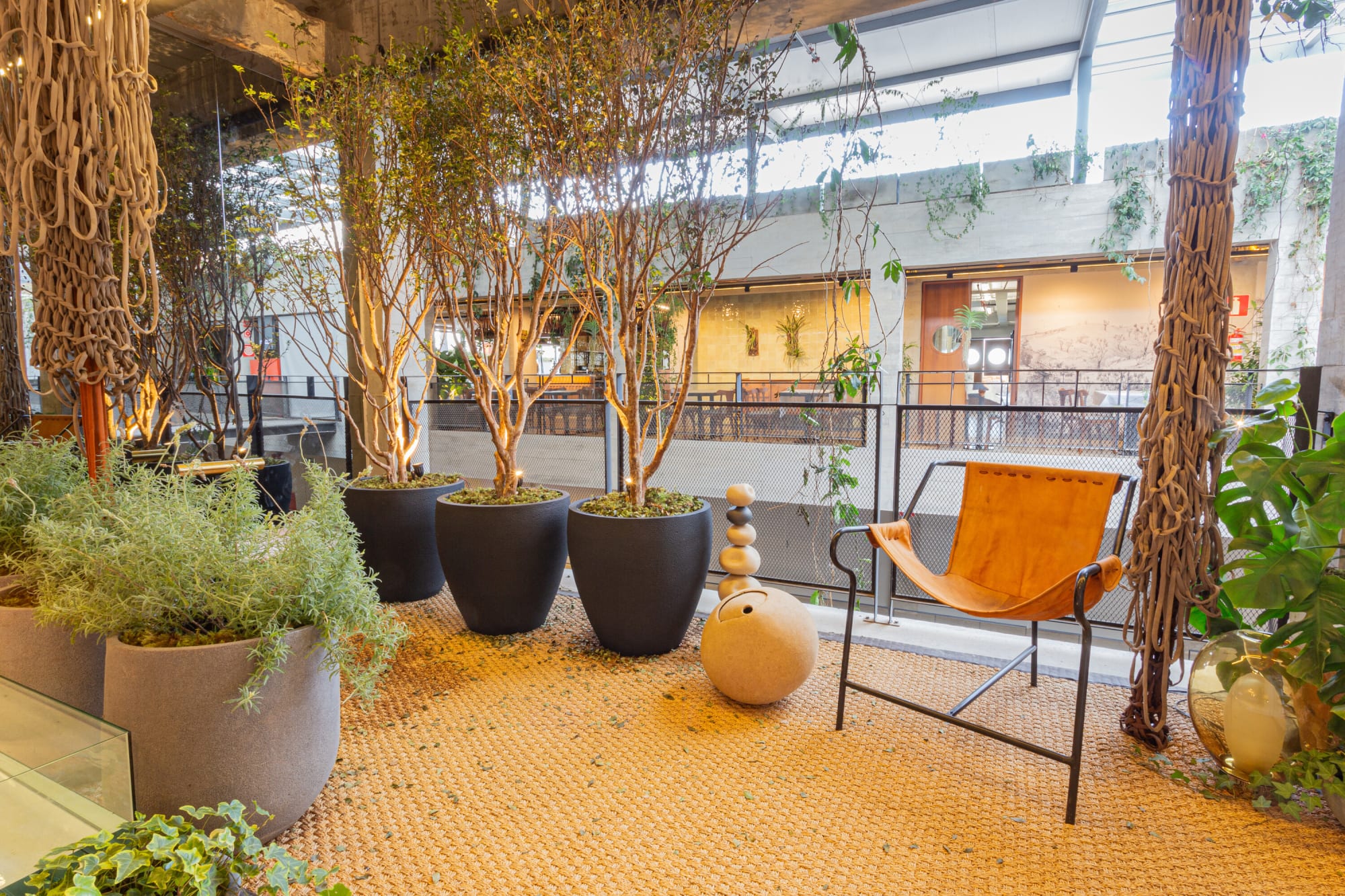 Potted trees, round planters and a leather sling chair on a woven floor by the glass