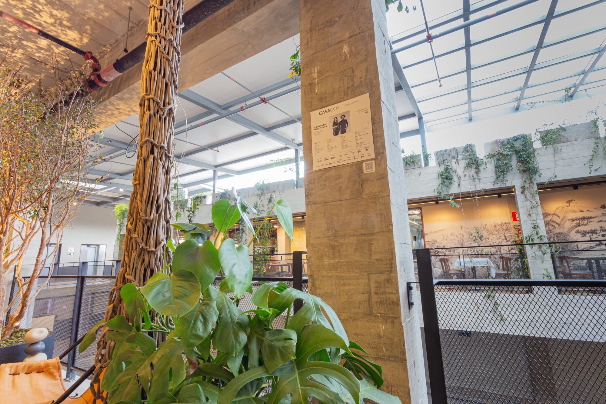 Monstera at the base of a concrete column beside potted trees and an atrium view