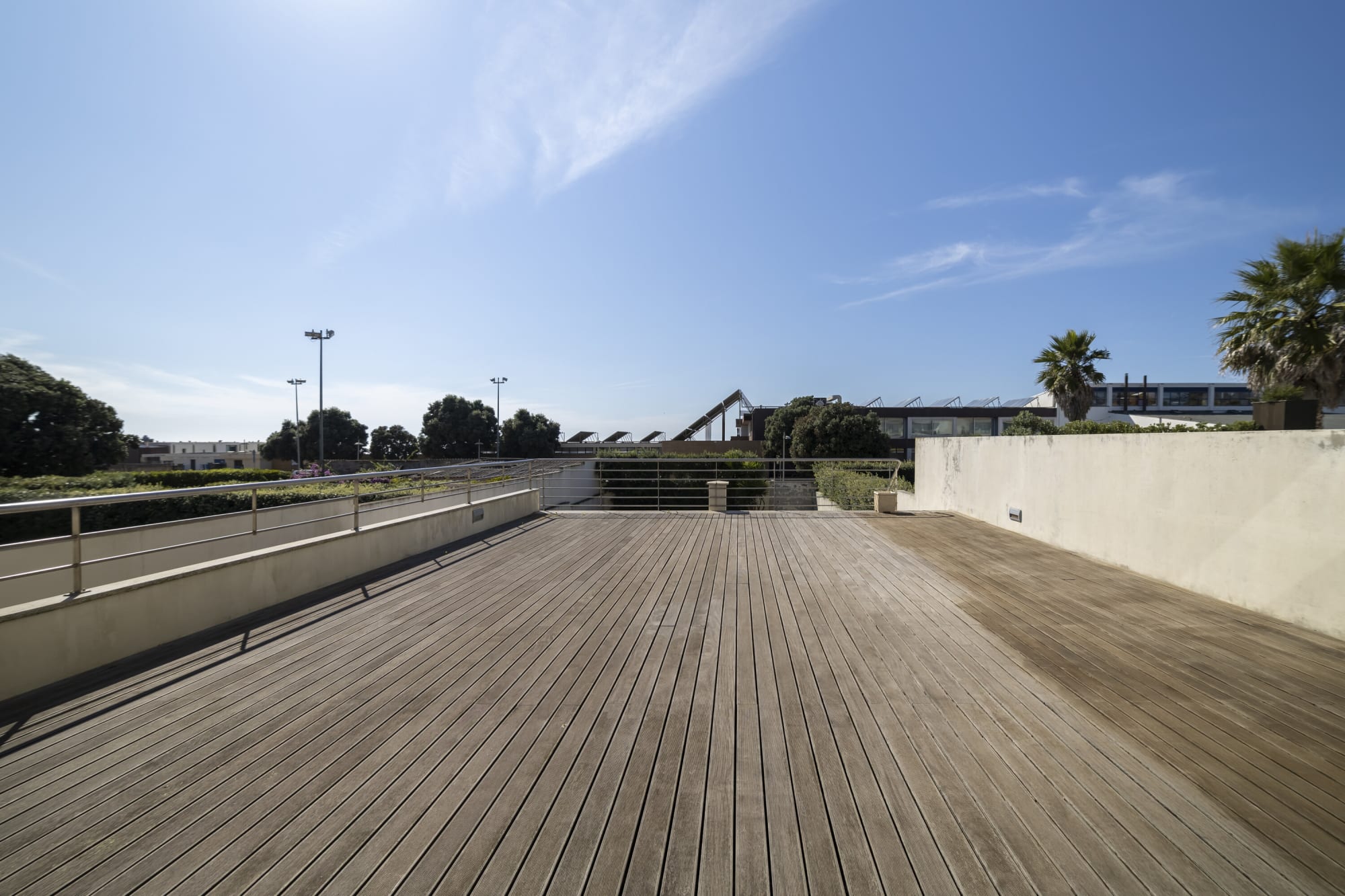 Long timber deck with steel rail stretching toward palms and blue sky
