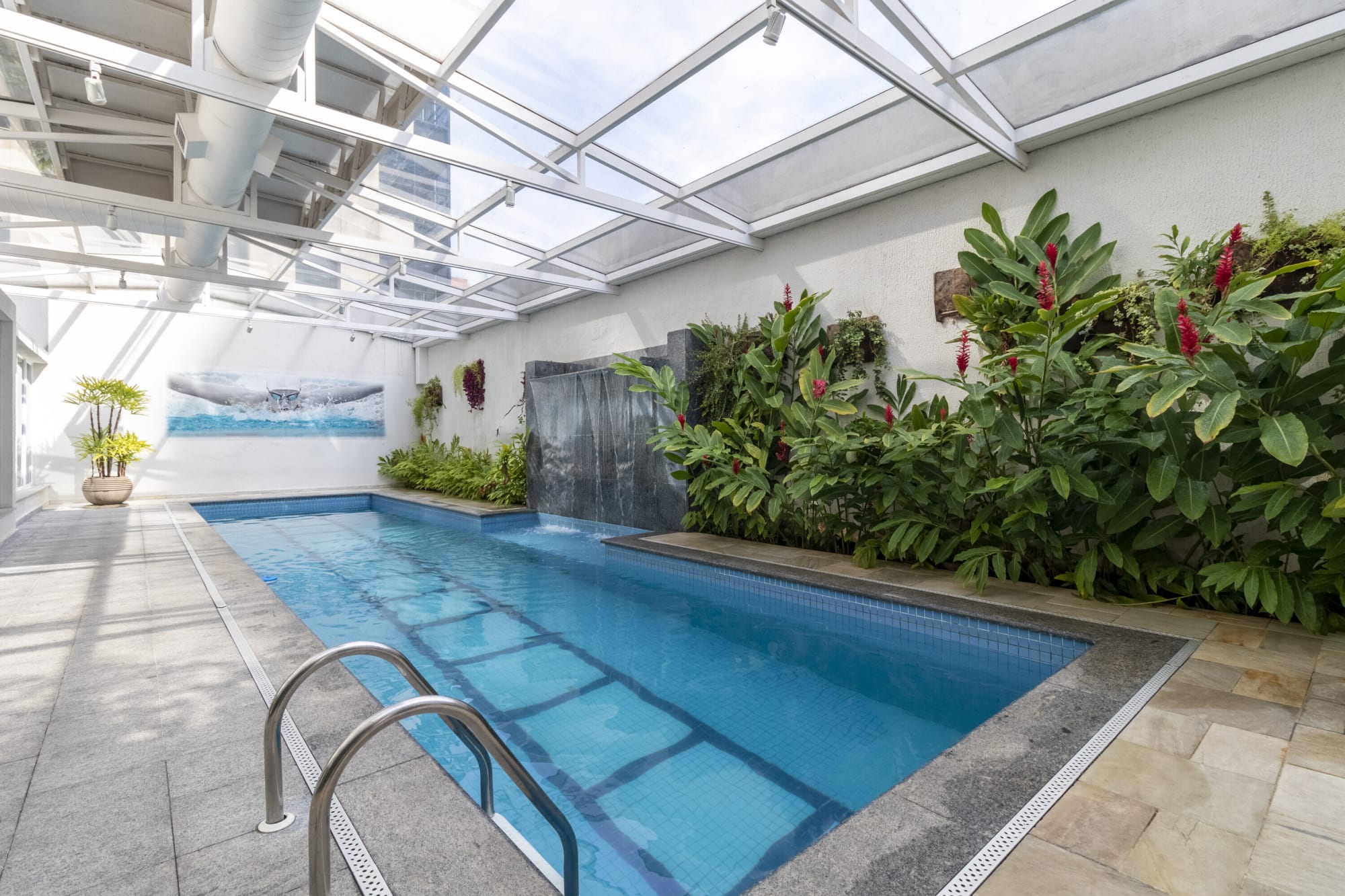 Indoor pool under a glass roof with pool ladder and tropical planting