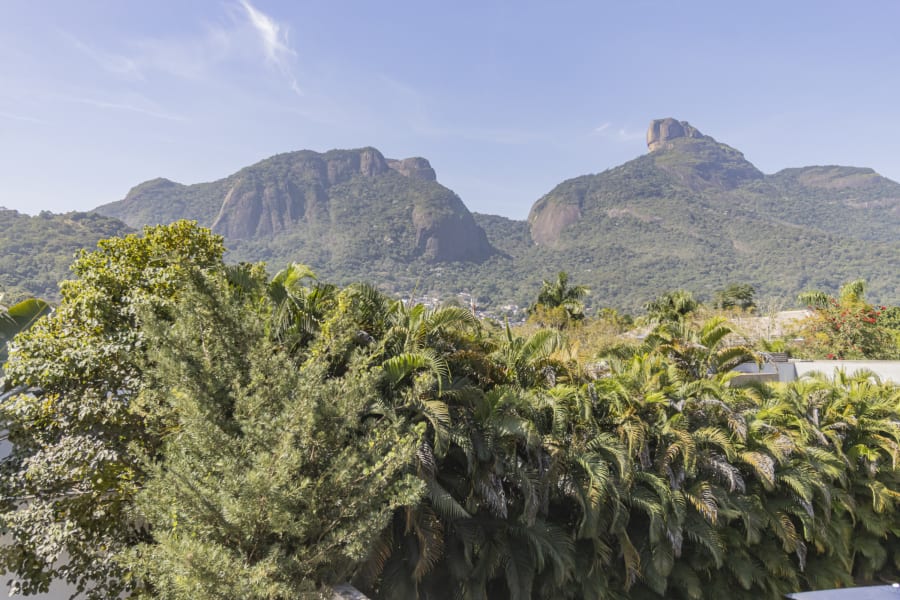 Pedra da Gávea and forested mountains above palm treetops under a blue sky