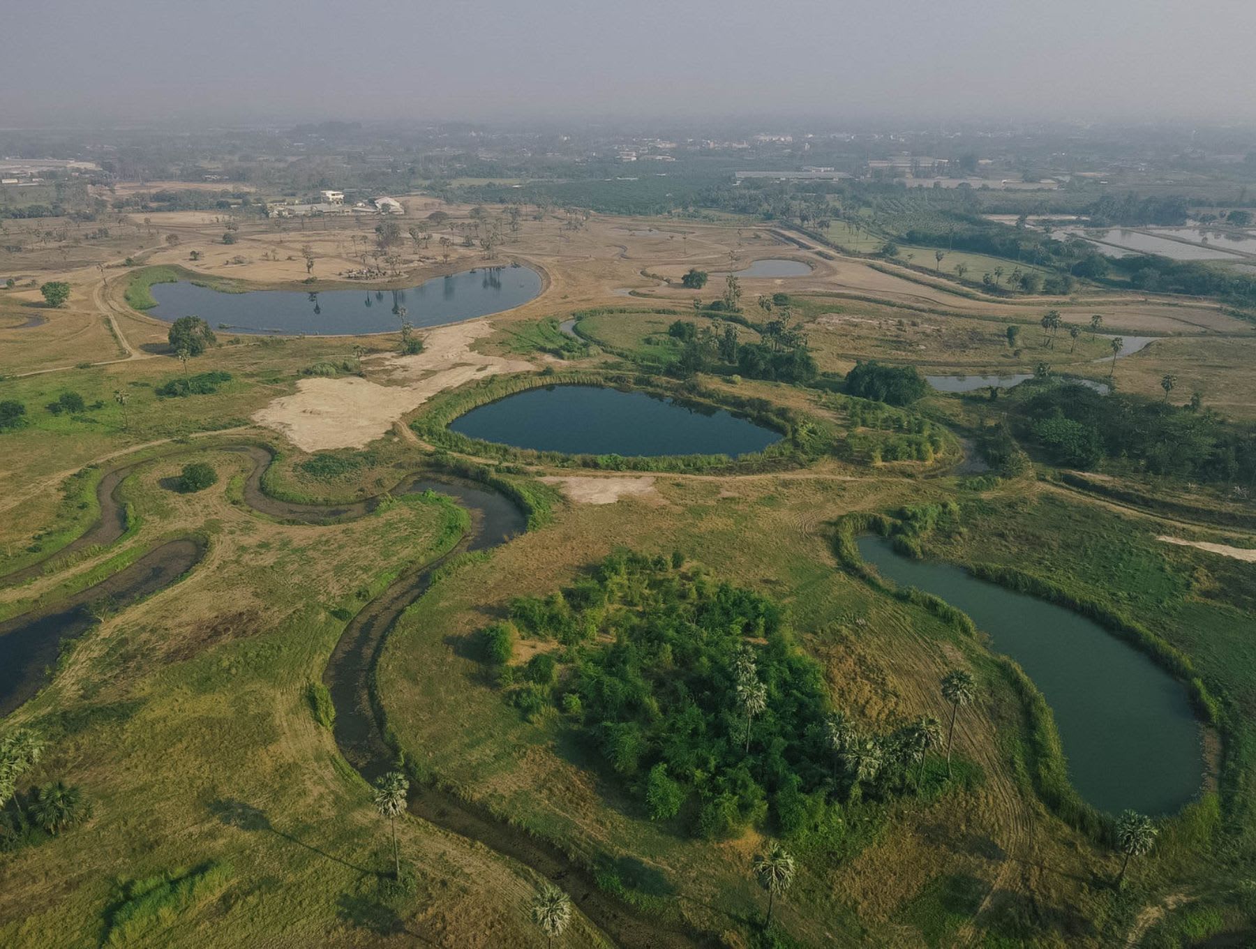 Reforestation Project in Celebration of International Day of Forests ...