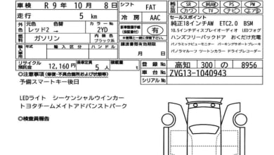 https://res.cloudinary.com/pilotbazar/image/upload/galleries/QfEWxesVKy8x7MDUbumaGMUErD3KOeSOku15OsrF.jpg