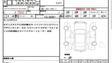 https://res.cloudinary.com/pilotbazar/image/upload/galleries/Z7vp00py49EQFhjLvSidUWJc3MQ5wLhgpZ2DXmut.png