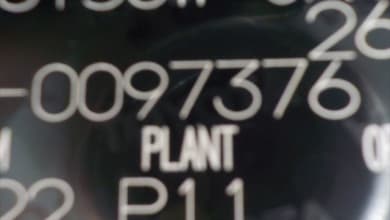 https://res.cloudinary.com/pilotbazar/image/upload/galleries/o5zGBjwOPEH0YbamypxAKFT6szJSbbOKX4iYOltx.jpg