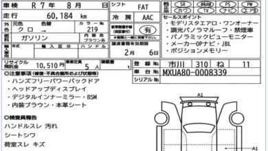 https://res.cloudinary.com/pilotbazar/image/upload/galleries/xrsN2tJTSG2K81KTTYCJ0A2K7s8xieVt4k7MON7T.png