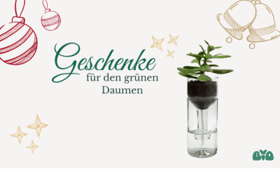 Bild zu Geschenke für den grünen Daumen